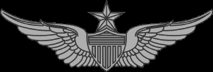 Senior Aviater Badge